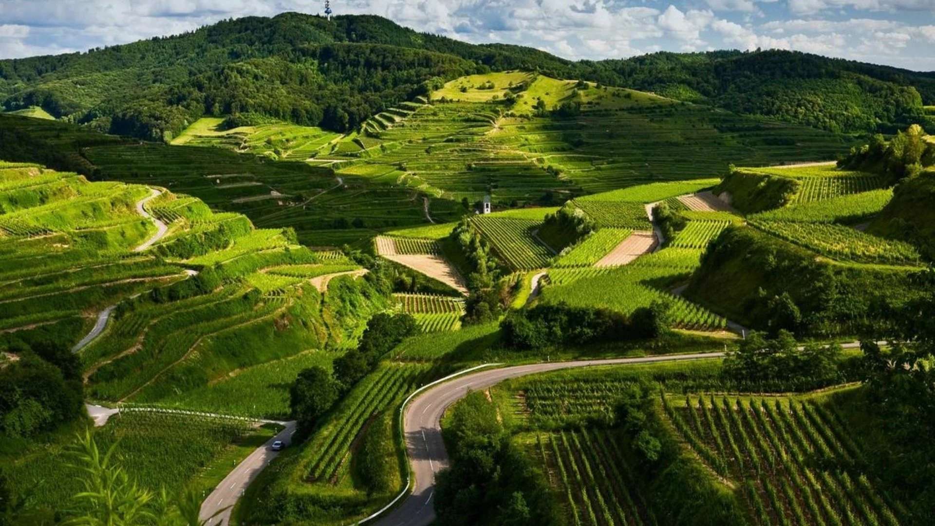 Coorg (Kodagu)